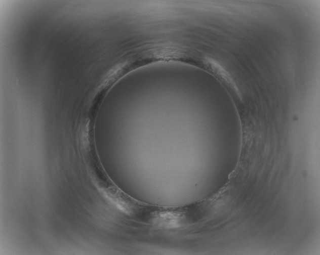 X0000066000163200603061332