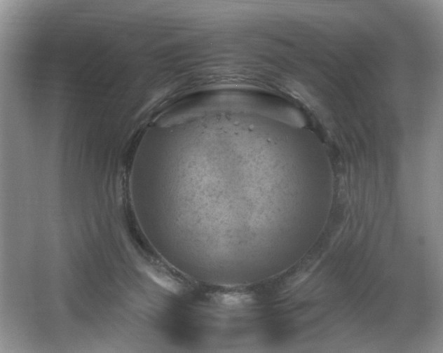 X0000066000165200603061332