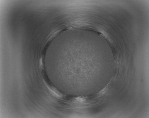 X0000066000166200603061332