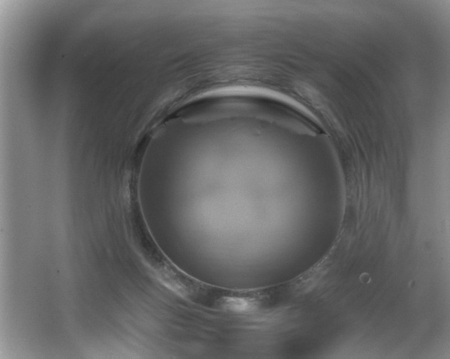 X0000066000167200603061332