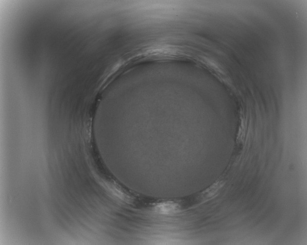 X0000066000168200603061333