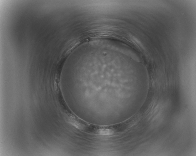 X0000066000169200603061333