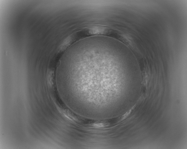 X0000066000171200603061333