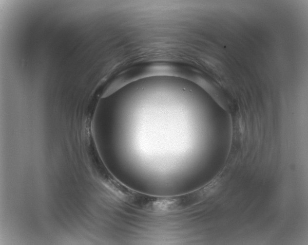 X0000066000172200603061333