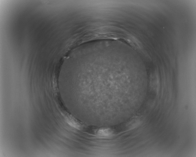 X0000066000173200603061333