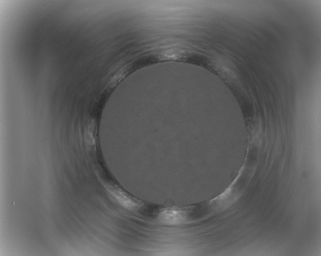 X0000066000174200603061333