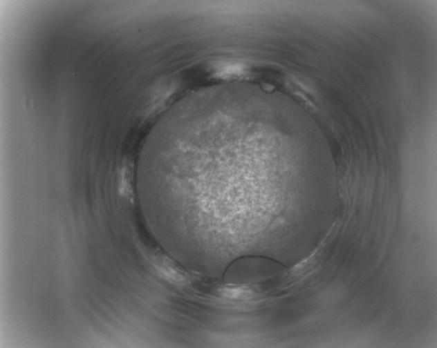 X0000066000175200603061333