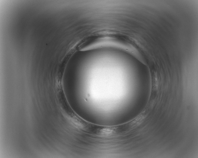 X0000066000176200603061333