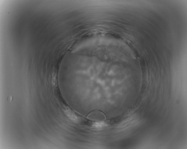 X0000066000177200603061333