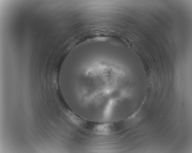 X0000066000178200603061333