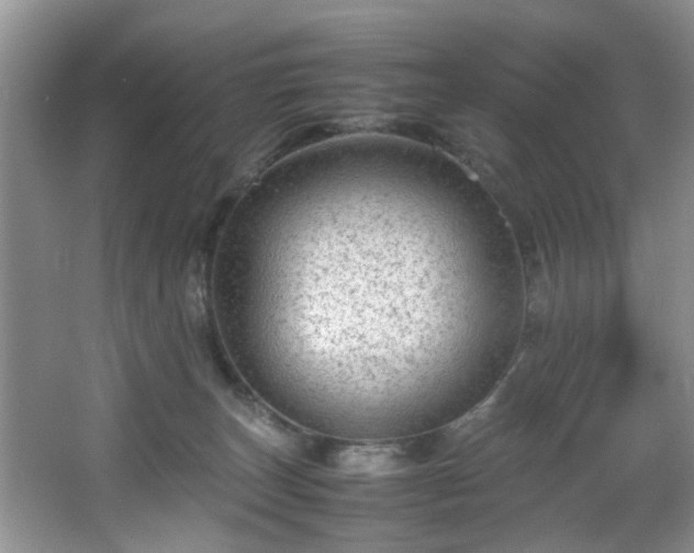 X0000066000179200603061333