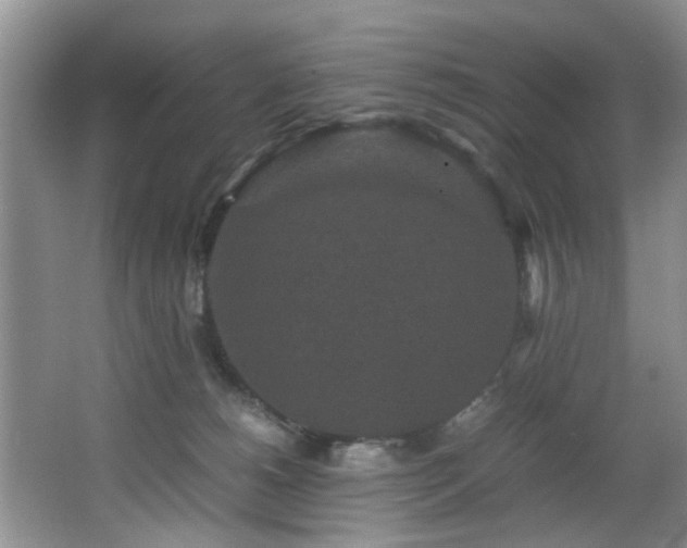 X0000066000180200603061333