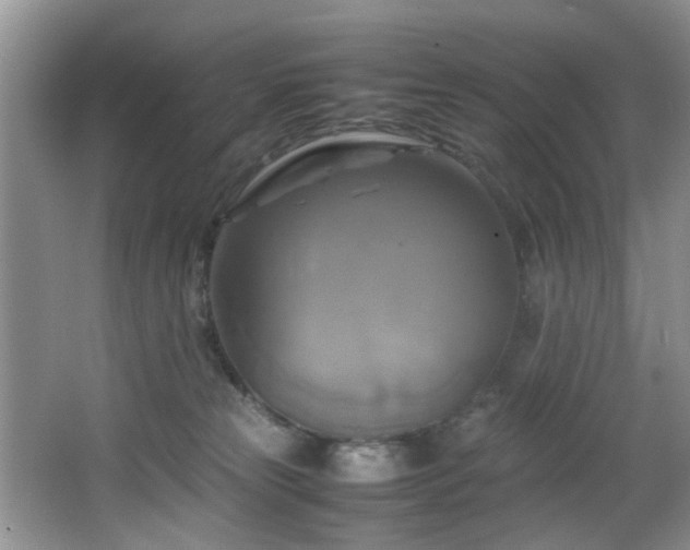 X0000066000181200603061333