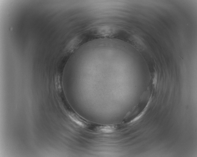 X0000066000182200603061333