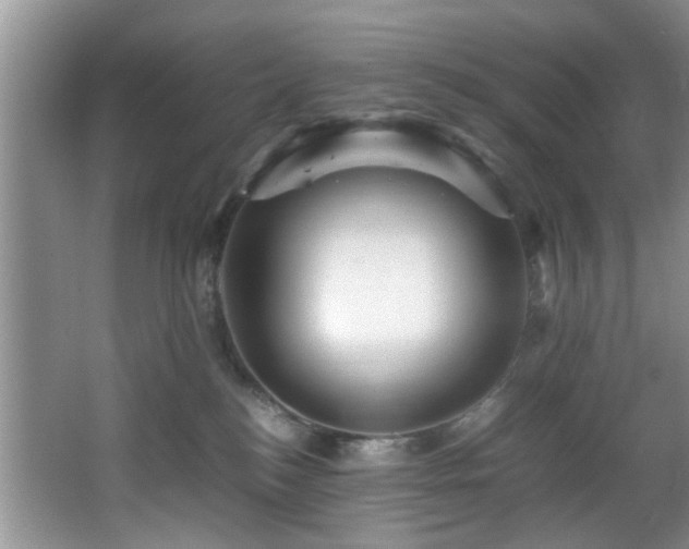 X0000066000184200603061333