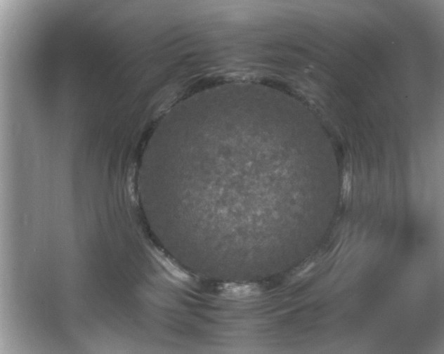 X0000066000185200603061333