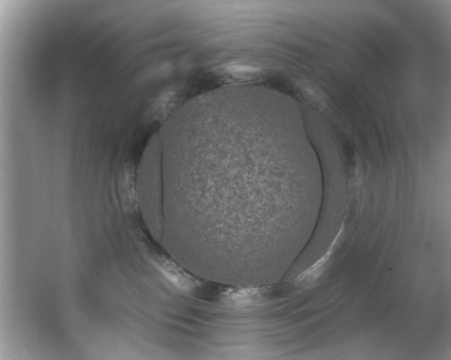 X0000066000186200603061333