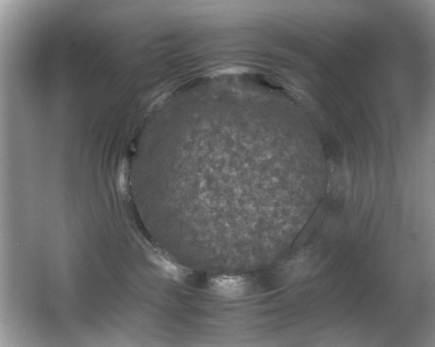 X0000066000189200603061333