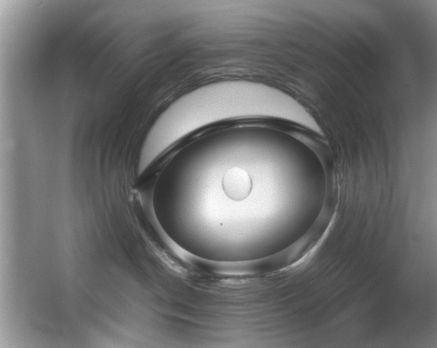 X0000066000190200603061333