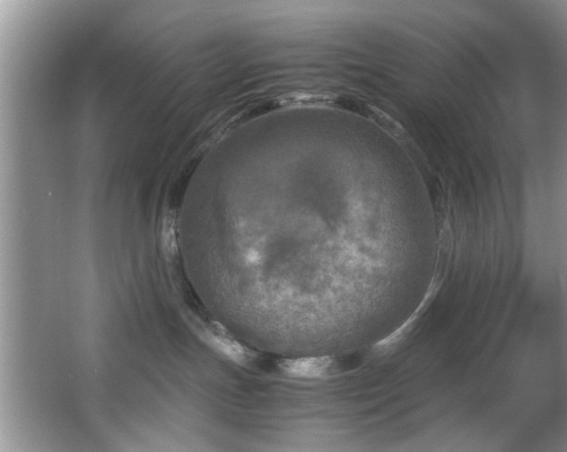 X0000066000191200603061333