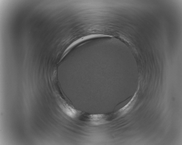 X0000066000192200603061333