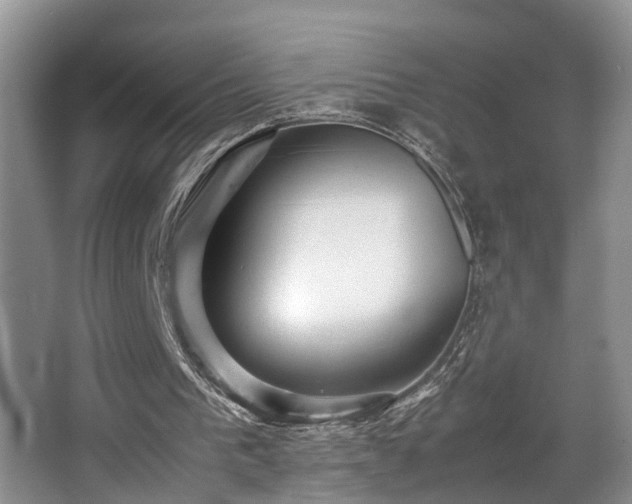 X0000066000193200603061332