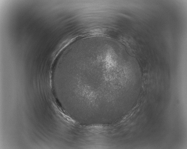 X0000066000194200603061332