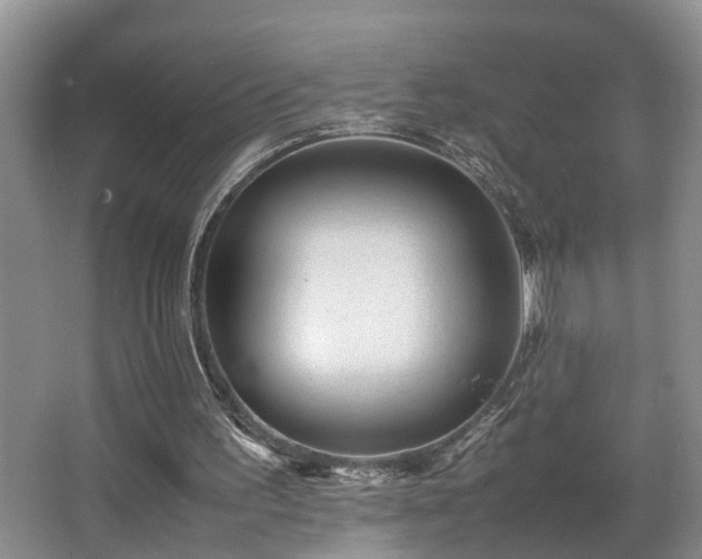 X0000066000195200603061332