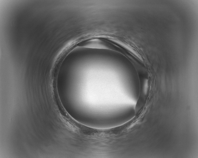 X0000066000197200603061332