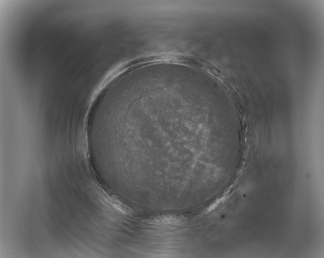 X0000066000198200603061332