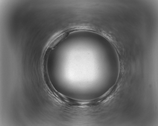 X0000066000199200603061332