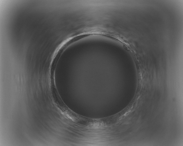 X0000066000200200603061332