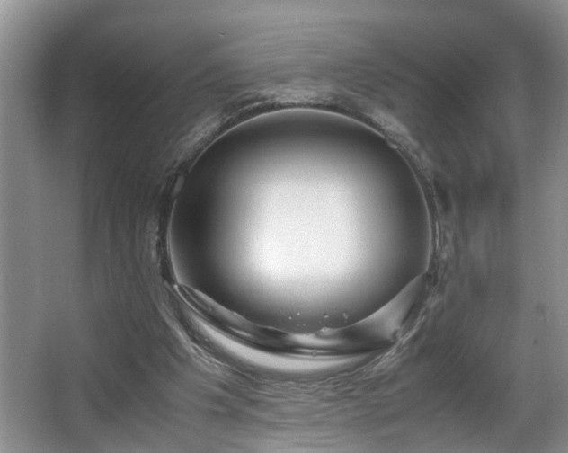 X0000066000201200603061332