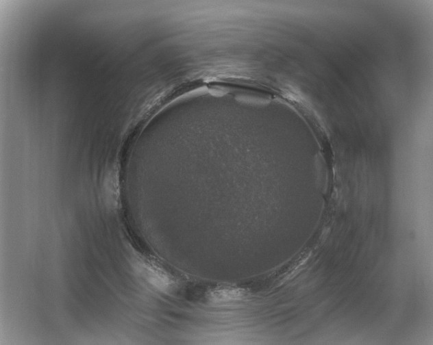 X0000066000202200603061332