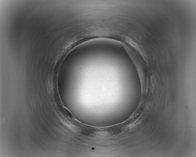 X0000066000203200603061332