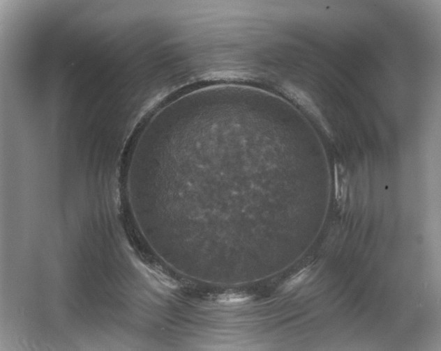 X0000066000204200603061332