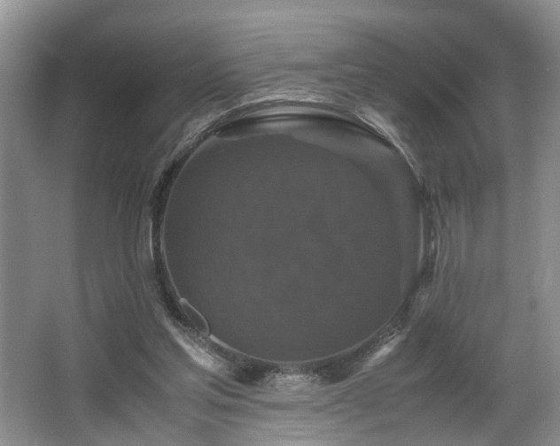 X0000066000205200603061332