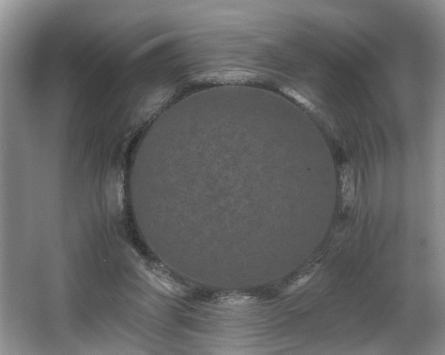 X0000066000206200603061332