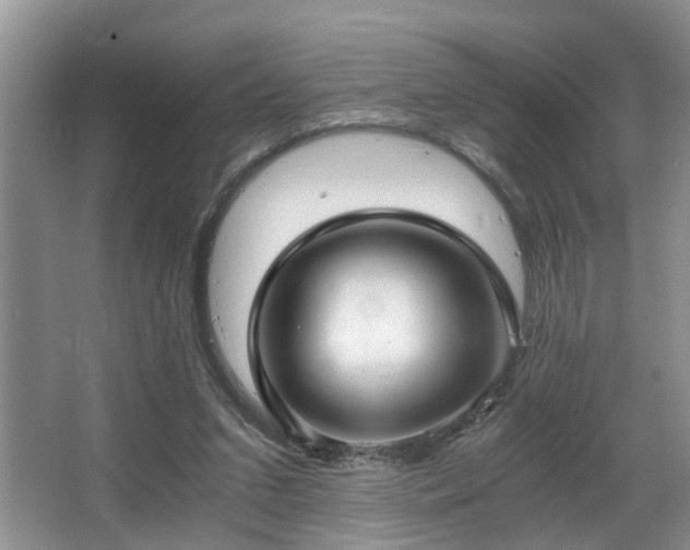 X0000066000207200603061332