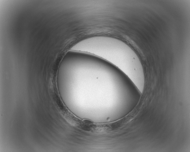 X0000066000209200603061332