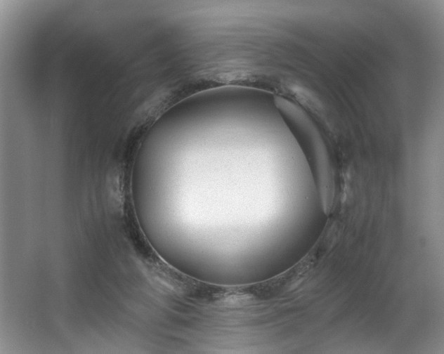 X0000066000210200603061332