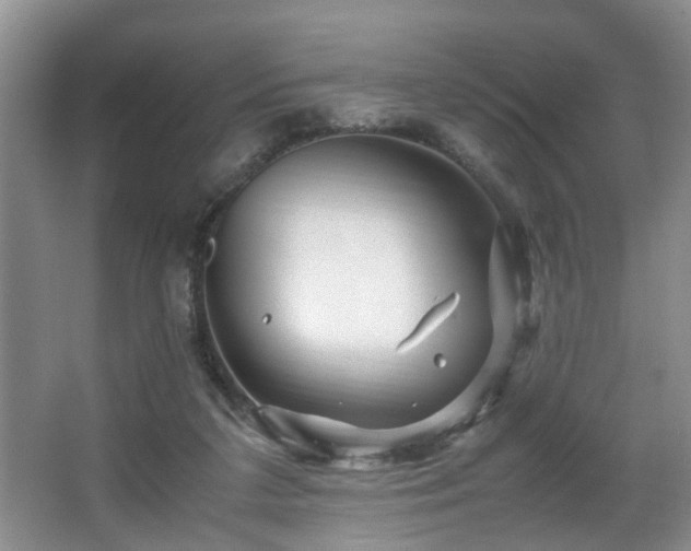 X0000066000211200603061332