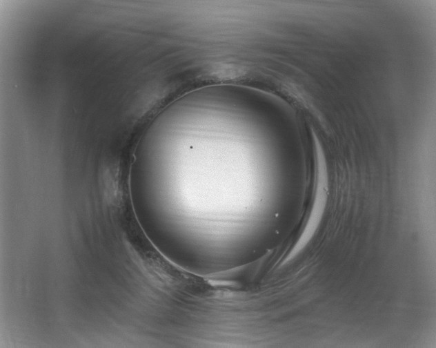 X0000066000212200603061332