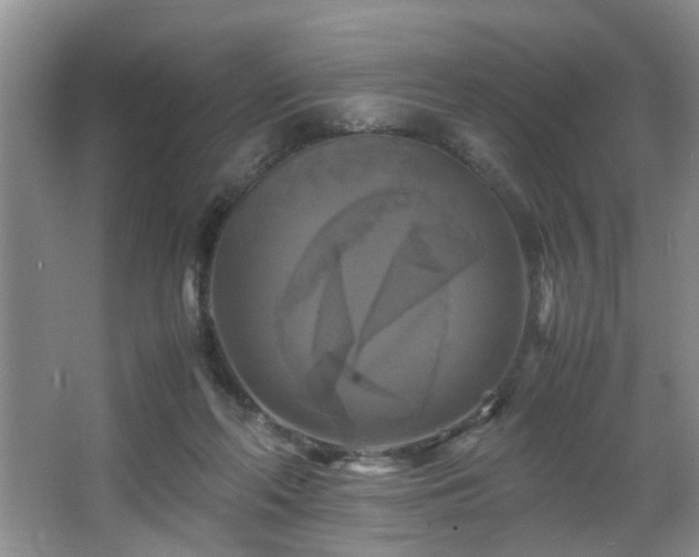 X0000066000214200603061332