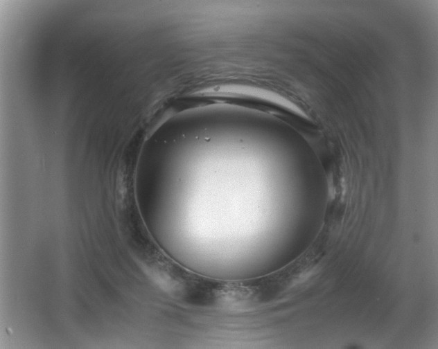 X0000066000215200603061332