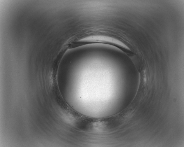 X0000066000216200603061332