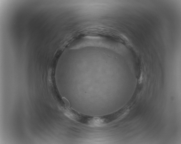 X0000066000217200603061332