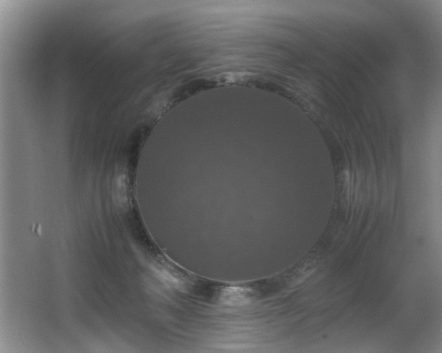 X0000066000222200603061332