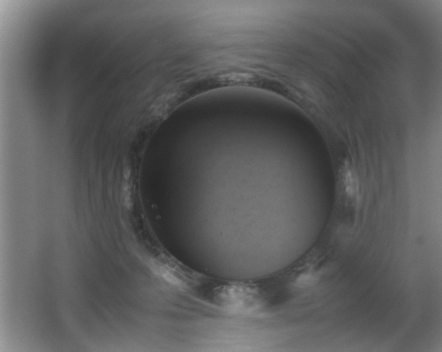 X0000066000223200603061332