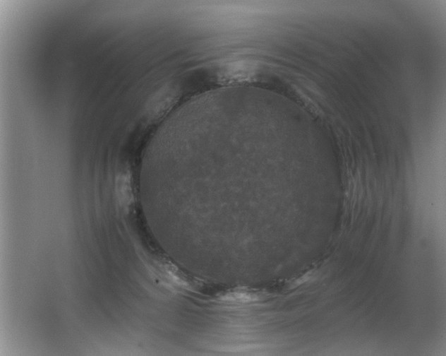 X0000066000224200603061332